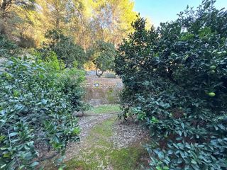 Terreno en venta en Simat de la Valldigna