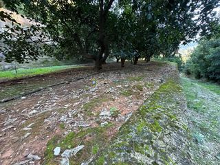 Terreno en venta en Simat de la Valldigna