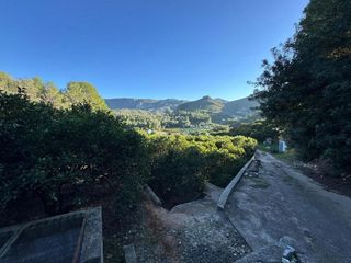 Terreno en venta en Simat de la Valldigna