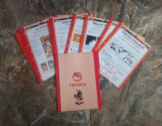 10 fascículos "Curso de Dibujo Manga"