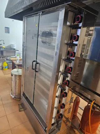 Asador de pollo profesional FECA