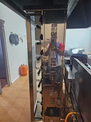 Asador de pollo profesional FECA