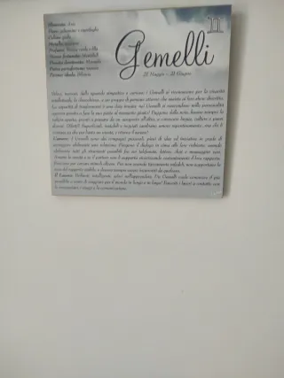 Quadretto Segno Zodiacale Gemelli