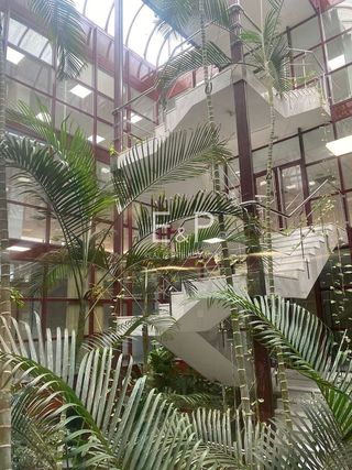 Oficina en alquiler en La Florida - El Plantío en Madrid