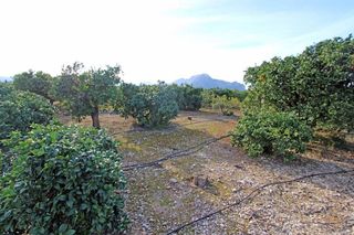 Chalet en venta en Ondara