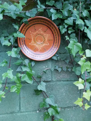 Piatti decorativi in ceramica