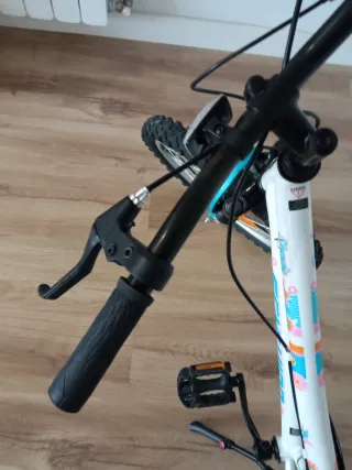 Bicicleta Niña Talla 20