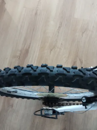 Bicicleta Niña Talla 20