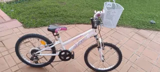Bici niña Avigo 6-10 años