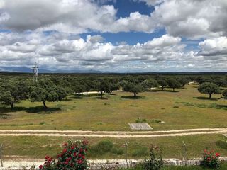 Chalet en alquiler en La Florida - El Plantío en Madrid