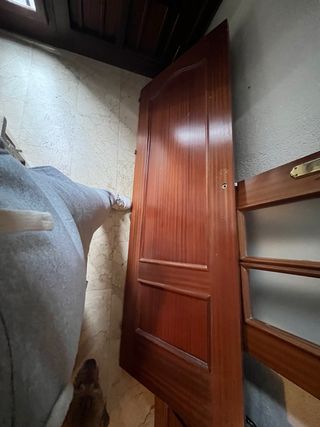 Puerta madera con cristal 20 euros cada una