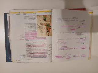 La bussola della storia. Con Quaderno delle com...