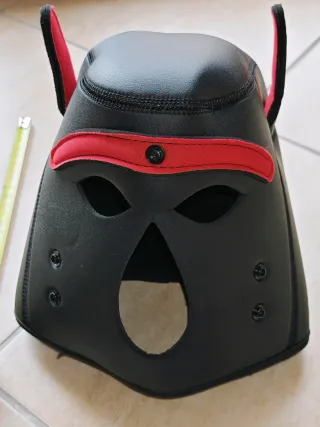 Maschera cane carnevale