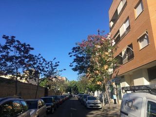 Local comercial en venta en Santa Rosa - Valdeolleros en Córdoba
