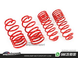 MUELLES DEPORTIVOS MTS TECHNIK MTSXFO069