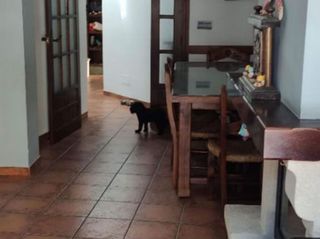 Casa adosada en alquiler en El Molinillo - Capuchinos en Málaga