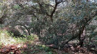 Terreno en venta en Matadepera