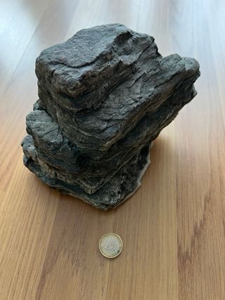 Roca natural para acuario