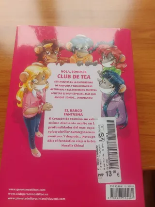 El misterio de los elfos, El galeón de los gatos p