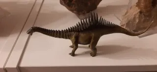 Dinosauro Agustinia Collecta