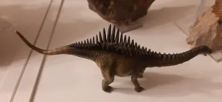Dinosauro Agustinia Collecta