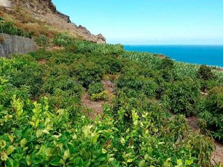 Terreno en venta en Buenavista del Norte