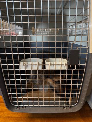 Jaula Transportín Perro XL