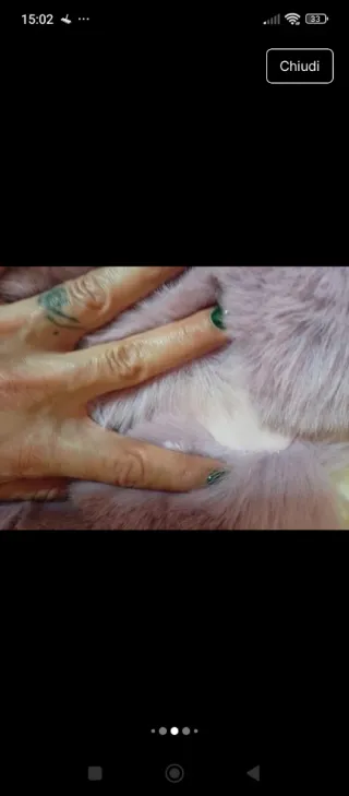 Cappotto pelliccia lilla tg M/L