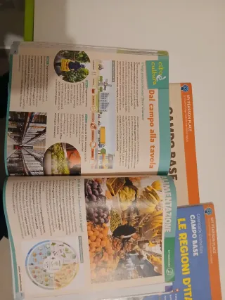 Campo base. Per la Scuola media (Vol. 1)