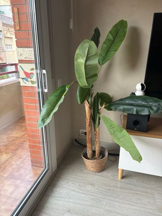 Planta artificial tipo yuca