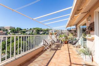 Ático en venta en El Terreno en Palma de Mallorca