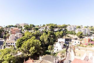 Ático en venta en El Terreno en Palma de Mallorca