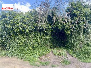 Terreno en venta en Pobla (Sa)