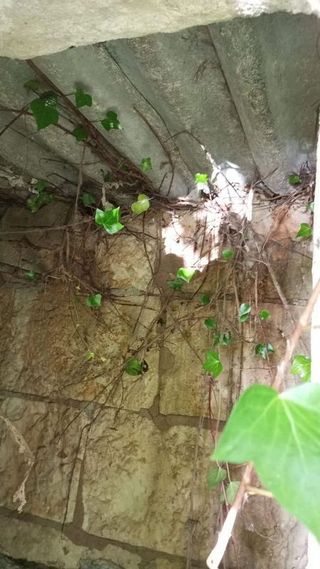 Terreno en venta en Pobla (Sa)