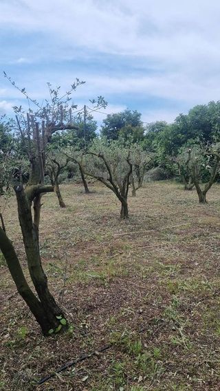 Casa en venta en Ponent en Reus