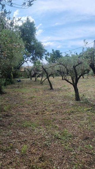 Casa en venta en Ponent en Reus