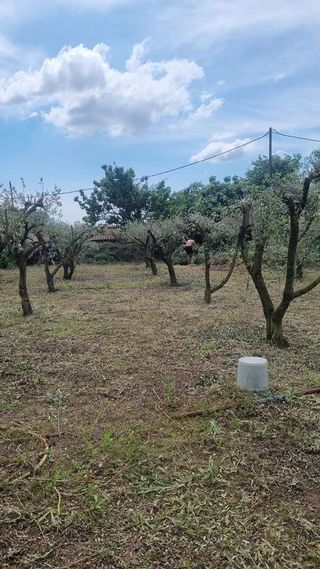 Casa en venta en Ponent en Reus