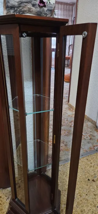 Vitrina de madera y cristal