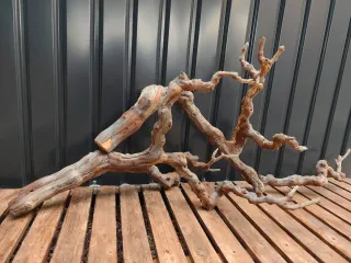 Raíz/tronco XL (COMPOSICIÓN) Decoración acuario