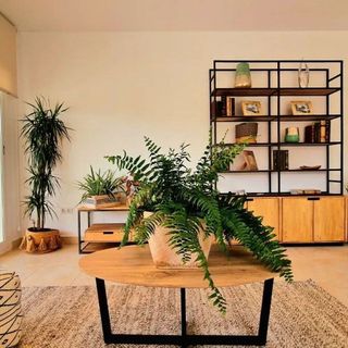 Chalet en venta en Zona Centro-Corredera en Lorca