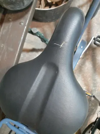 Bicicleta Urbana Paseo Azul