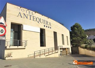 Terreno en venta en Zona Fuentemora en Antequera