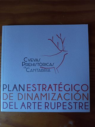 Plan estratégico de dinamización del arte rupestre
