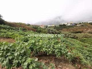 Terreno en venta en Los Realejos-Icod El Alto en Realejos (Los)