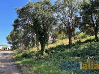 Terreno en venta en Can Semi - Mas Nou - Mas Ros en Castell-Platja d´Aro