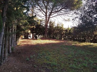 Terreno en venta en Sant Antoni de Vilamajor