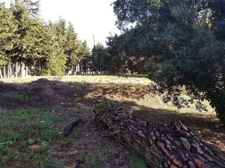 Terreno en venta en Sant Antoni de Vilamajor