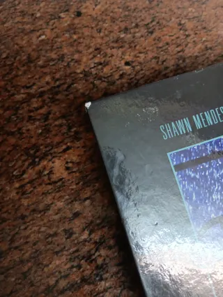 Shawn Mendes: Su historia