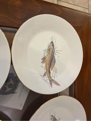 Juego 6 Platos + Fuente Porzelaint. Vintage.