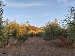 Terreno en venta en Villamartín